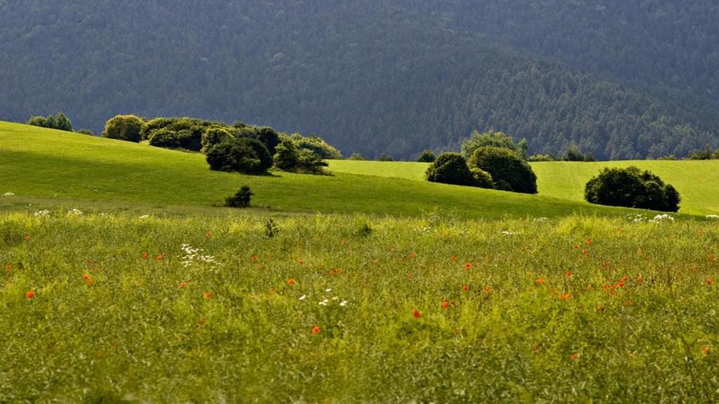 Penzion Mlynarov Dvor Dubrava Екстериор снимка